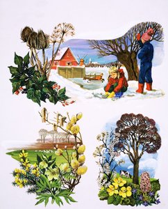 Ein Pflanzenkalender, Illustration aus 