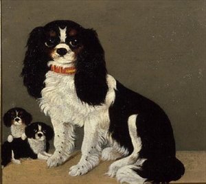 Ein Cavalier King Charles Spaniel mit Welpen