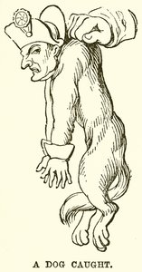 Ein gefangener Hund