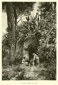 Ein Gartenspringbrunnen in Capri