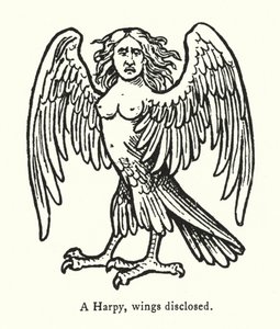 Eine Harpyie, Flügel offenbart (Gravur) von English School
