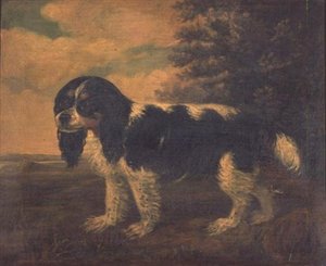 Ein King Charles Spaniel in einer Landschaft