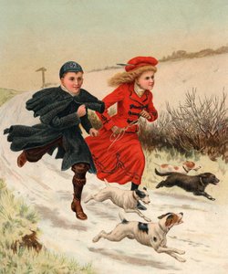 Ein Lauf mit den Hunden