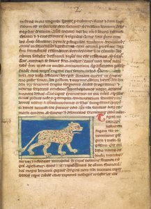 Ein Tiger, aus Sloane 3544, f.2 von English School