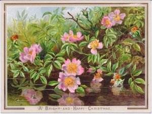 Eine viktorianische Weihnachtskarte, die einen Busch von Hundsrosen an einem Bach zeigt, ca. 1880