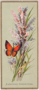 Eine viktorianische Weihnachtskarte mit einem Schmetterling zwischen hohen Gräsern, ca. 1880 von English School
