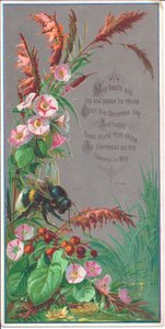 Eine viktorianische Neujahrskarte einer Biene, die über Blumen schwebt, ca. 1880 von English School