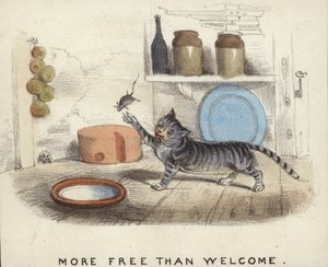 Eine Katze spielt mit einer Maus, die sie gefangen hat