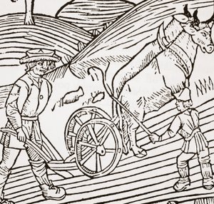 Ein Paar Ochsen vor einem Pflug, Titelseite aus John Fitzherberts Boke of Husbandry, erstmals veröffentlicht 1523