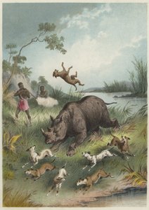 Eine Nashornjagd