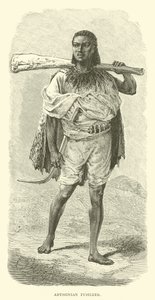 Abessinischer Füsilier von English School
