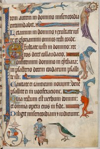 Add. 42130, f.61, Arzt lässt einen Patienten bluten, aus 