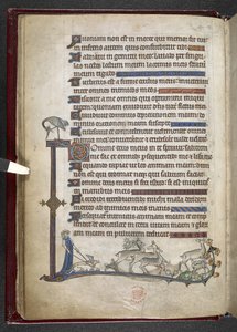 Psalm mit marginaler Erweiterung, die einen Teilrahmen bildet von English School