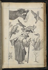 Illustration aus 