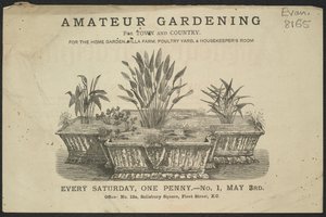 Anzeige für die Zeitschrift Amateur Gardening von English School