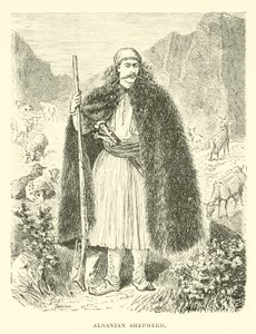 Albanischer Schäfer von English School