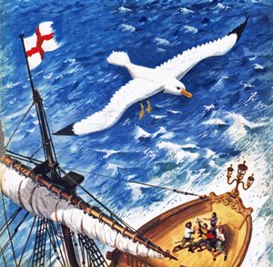 Albatros von English School