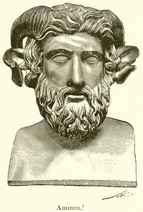 Ammon