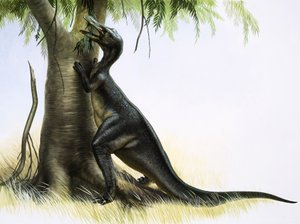 Anatosaurus von English School
