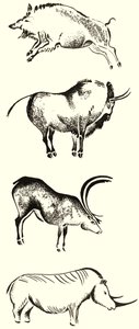 Tiere mit Hörnern Montage
