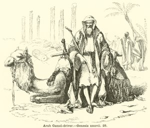 Arabischer Kamel-Treiber, Genesis, xxxvii, 25 von English School