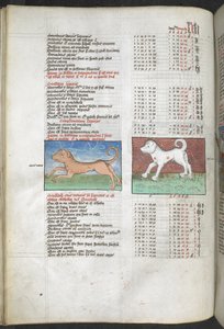 Canis maior und Canis minor als Hunde dargestellt, 
