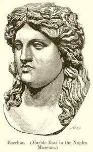 Bacchus. (Marmorbüste im Museum von Neapel) (Gravur) von English School