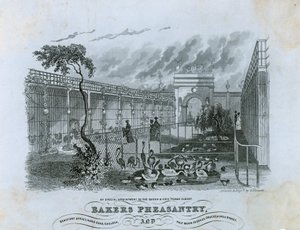 Bäckerei Pheasantry, Chelsea von English School