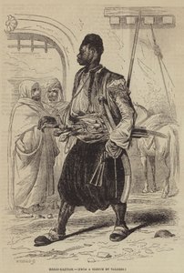 Bashi-Bazouk von English School