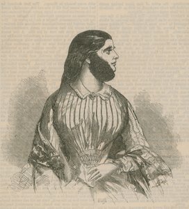 Bärtige Dame von English School