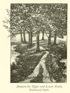 Zwischen den oberen und unteren Teichen, Richmond Park von English School
