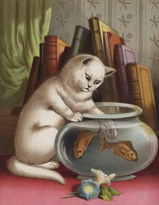 Blanchie und der Goldfisch
