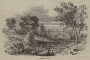 Schlachtfeld von Bosworth
