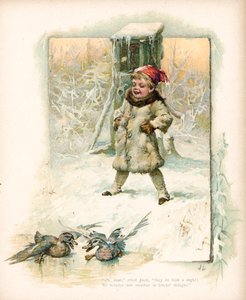 Junge beobachtet Enten im Schnee von English School