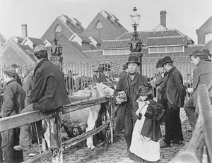 Britischer Dorfrindermarkt, viktorianisch, 19. Jahrhundert von English School