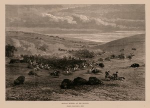 Büffeljagd auf den Prärien (Gravur) von English School