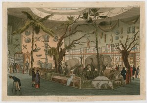 Bullocks Museum