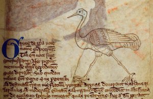 CCA-LitMs/D/10 fol. 14r Kranich, aus Bestiarium