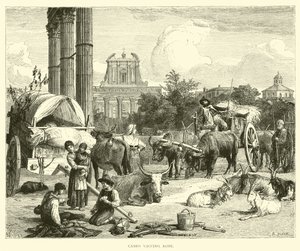 Campo Vaccino, Rom