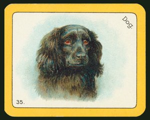 Karte aus dem Black Cat Greyhound Racing Game