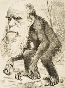 Karikatur von Charles Darwin