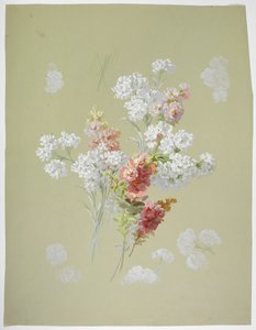 Teppichdesign