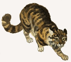 Katze von English School