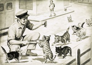 Katzen kommen, um den Katzenfleischmann zu begrüßen von English School