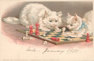 Katzen spielen Schach
