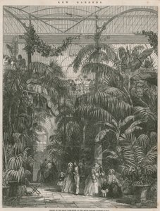Zentrum des Großen Palmenhauses in den Königlichen Botanischen Gärten von Kew