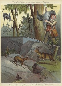 Gamsjagd und Auerhahnschießen von English School