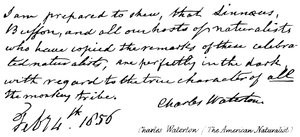 Charles Waterton (Der amerikanische Naturforscher) von English School