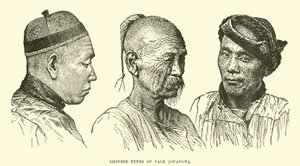 Chinesische Gesichtstypen, Swatow von English School