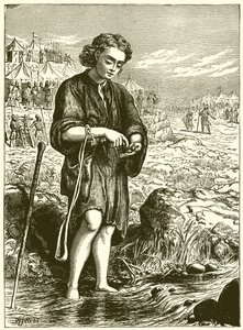 Auswahl glatter Steine aus dem Bach
